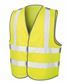 Fluorescent Yellow
