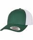 Evergreen/White
